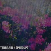 Scatterbrain Speed Up