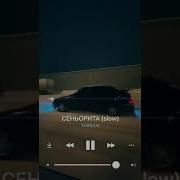 Танец Под Песню Сеньорита Пристегни Ремни Танец Под Песню Мадам Ты