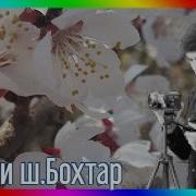 Бахор Омад Зи Умрам Боз Як Соли Дигар Бигзашт Кисми 2