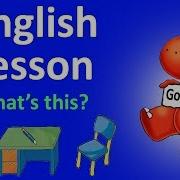 Activity Book Unit 2 Lesson 2
