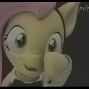 Sfm Pony Meme My Little Pony Meme Senpai