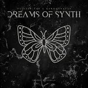 Dreams Of Synth Vlinder Vos
