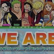 ウィーアー We Are 9人の麦わらの一 味 9 Member Straw Hat Pirates Version Full Lyrics Kan Rom Eng