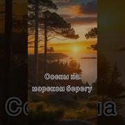 Как Нейросеть Видит Песни Виктора Цоя По Картинкам