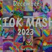 Tik Tok Mashup 2023