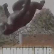 Monkey Flip