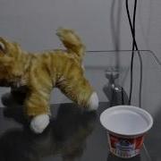 Мой Веселый Кот Мурзик