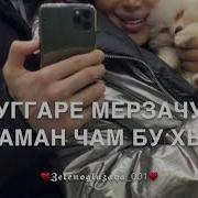 Сан Дега Дог Ду Хьо