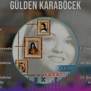 Gülden Karaböcek 2 Saat