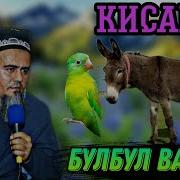 Кисаи Хар Ва Булбул