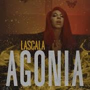 Lascala Agonia Акустика