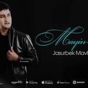 Jasurbek Mavlonov Mayin Mayi Mp3