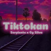 Tik Tokan