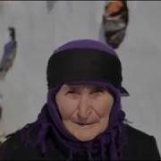 Раджаб Сафаров Диде Мама