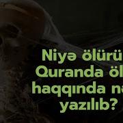 Olum Haqda Qovusmaq