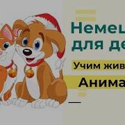 Немецкий Для Детей Учим Зверей