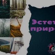 Красивые Душевные Места Природы Tik Tok