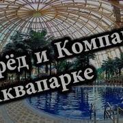 Нифедов В Аквапарке