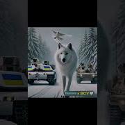 Украинские Песни Из Тик Тока