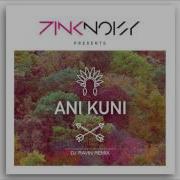 Pink Noisy Ani Kuni Dj Ravin Remix