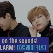 Stray Kids 스트레이 키즈 Wake Up Alarm Compilation