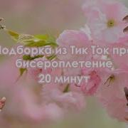 Эстетическое Видео Из Tik Tok