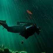 Морские Звезды Питер Уоттс