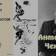 Чехов Роман С Контробасом