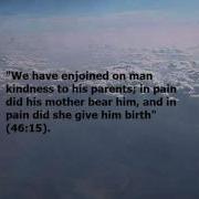 Muhammad Al Omary Verily You Are An Angel ᴴᴰ Nasheed