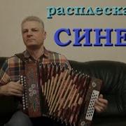 Синева Разбор На Гармони С Цифрами