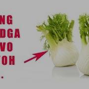 Минг Дардга Даво Гиёх