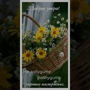 Доброе Утро Просыпайся Страна