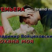 Владимир Войцеховский