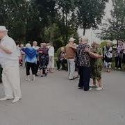 Танцы Под Гармонь В Гомельском Парке