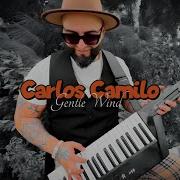 Carlos Camilo Gentle Wind
