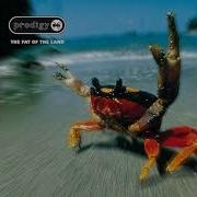 The Prodigy Smack My Bitch Up David Guetta