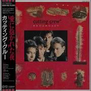 Cutting Crew I Just Died In Your Arms Tonight Hq Flac