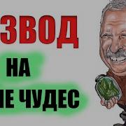 Иду По Полю И Пинаю Говно