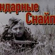 Снайперы Великой Отечественной Войны