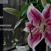 Только Никому Не Говори Инна Булгакова