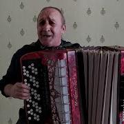 Сергей Мороков Калина Красная Калина Горькая Кавер На Баяне