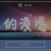 B2 Koala 真的没喝多