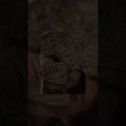 Нитр Натура Speed Up