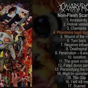 Ovaryrot Non Flesh Scarring Full Album 2019 Deathgrind Experimental