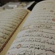 Quran Recitation 10 Hours