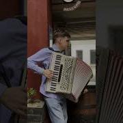 Кумпарсита Баян