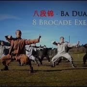 Wudang Ba Duan Jin