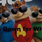 Элвин И Бурундуки 4 Turn Down For What