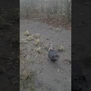 На Улице Холодно На Улице Сыро