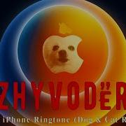 New Apple Iphone 12 Ringtone 2020 Dog Cat Trap Remix